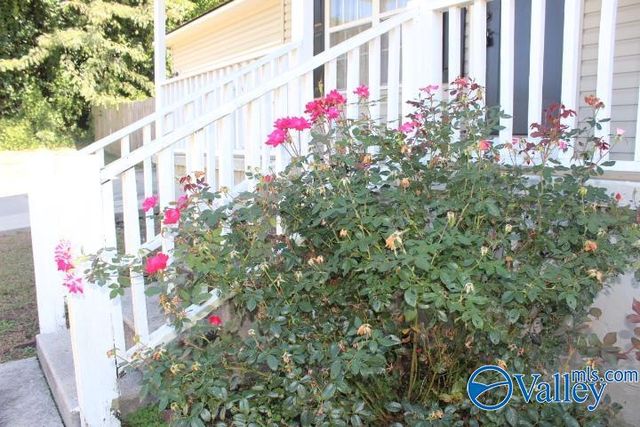 1209 Godfrey Avenue NE, Fort Payne, AL 35967