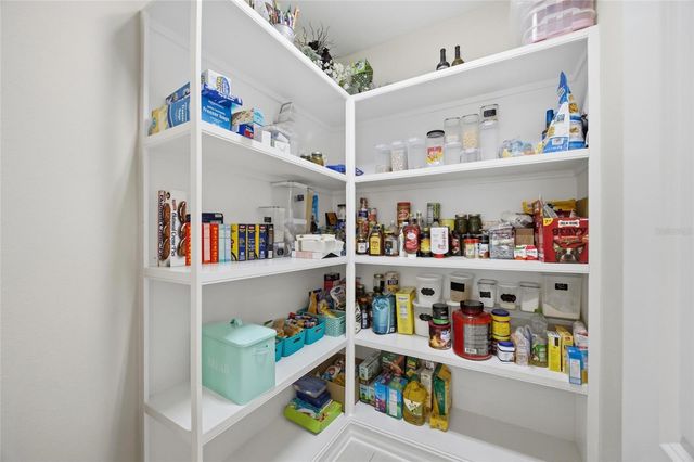 3608 SHADOW ARBOR WAY, Lutz, FL 33548