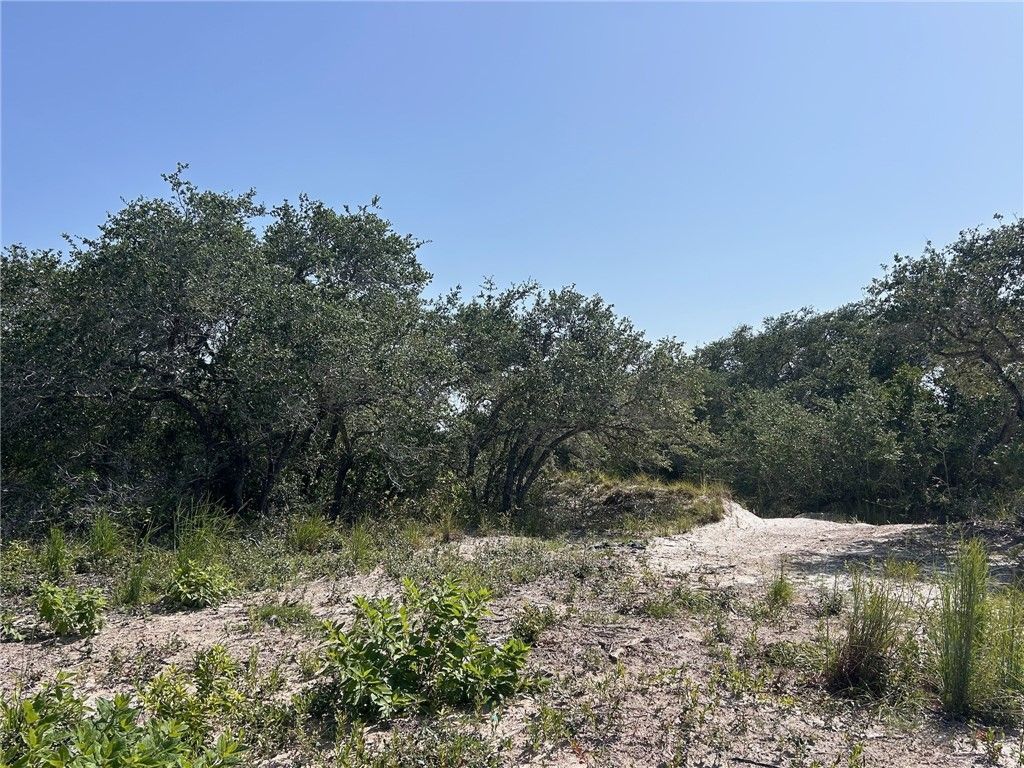 1541 6th, Ingleside, TX 78362 — photo 2