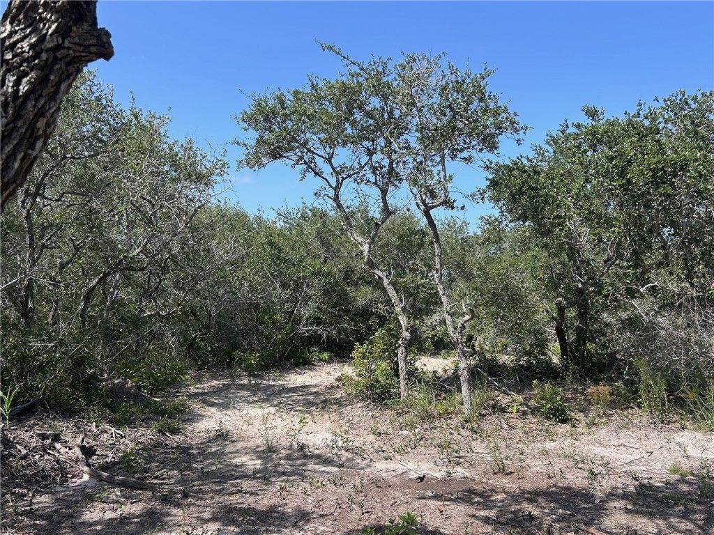 1541 6th, Ingleside, TX 78362 — photo 4