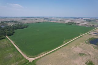 TBD 400th Street, Pelican Twp, MN 56572