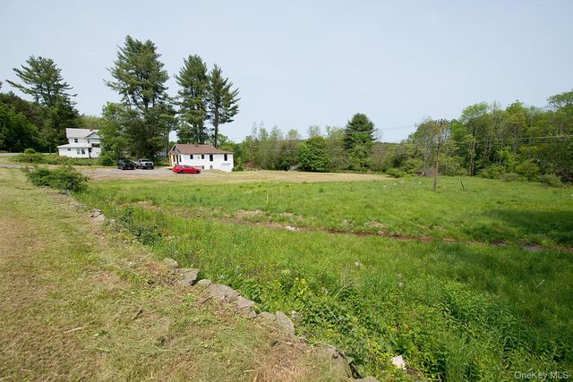 1132 Old Route 17, Ferndale, NY 12734