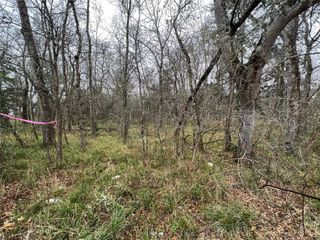 0 Greenmont Drive Drive, Guy, TX 77444