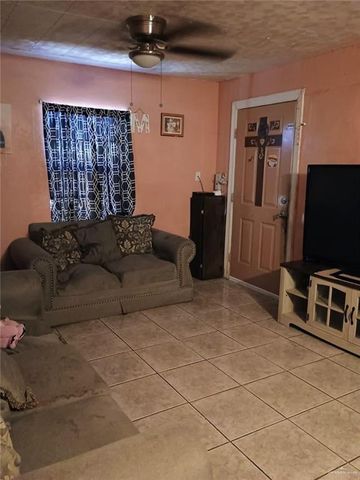 3320 N Pita Street, Roma, TX 78584