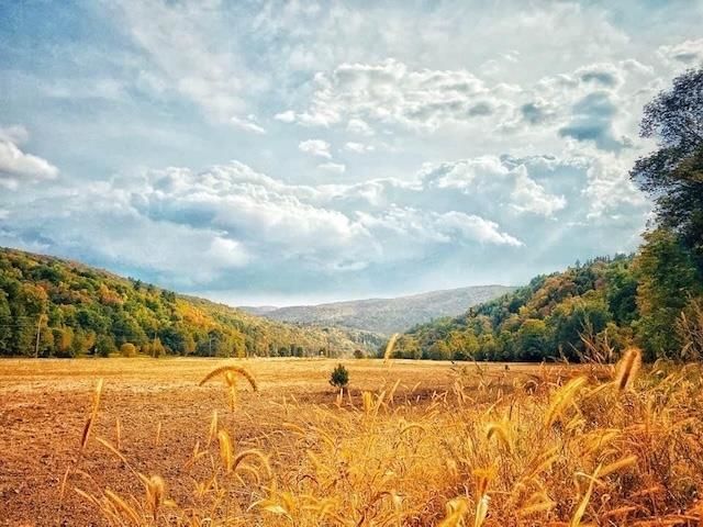 1433 N 116 Road B, Bristol, VT 05443