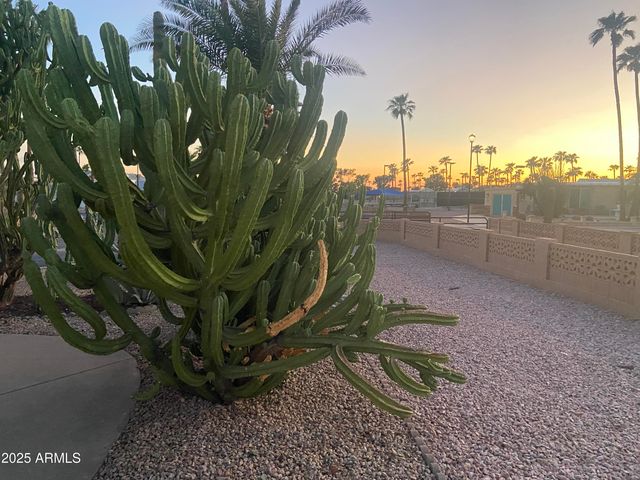 1206 W KLAMATH Drive, Apache Junction, AZ 85119