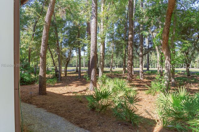 56 Blue Willow St, Bluffton, SC 29910