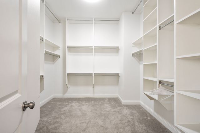 4529 Tall Knight Lane, Carrollton, TX 75010