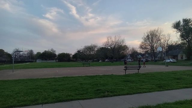 1509 W Page Avenue, Dallas, TX 75208