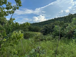 347 Lake Cove Circle, Hollister, MO 65672