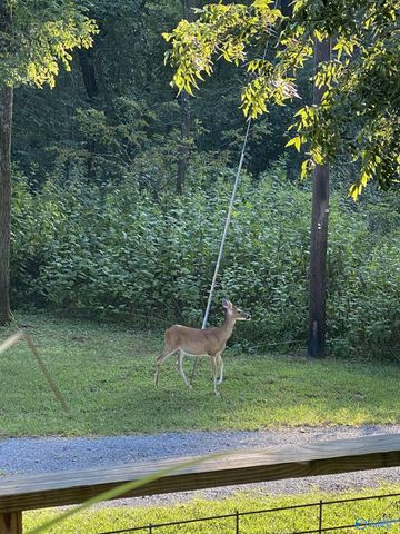 16564 County Road 89, Mentone, AL 35984