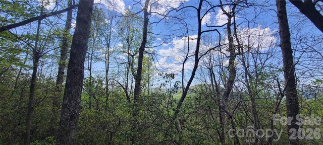 102 High Cliffs Trail, Black Mountain, NC 28711