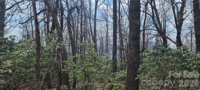 102 High Cliffs Trail, Black Mountain, NC 28711