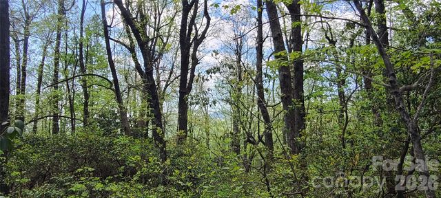 102 High Cliffs Trail, Black Mountain, NC 28711