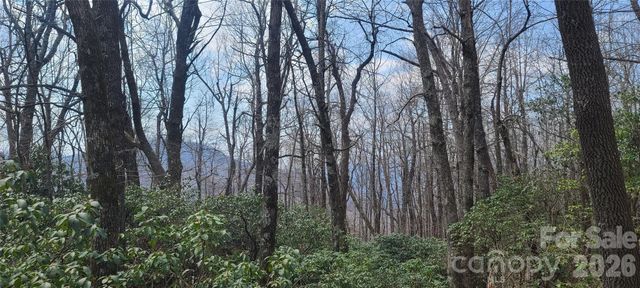 102 High Cliffs Trail, Black Mountain, NC 28711