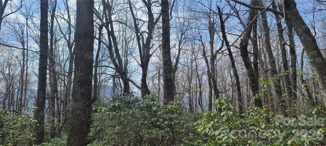 102 High Cliffs Trail, Black Mountain, NC 28711