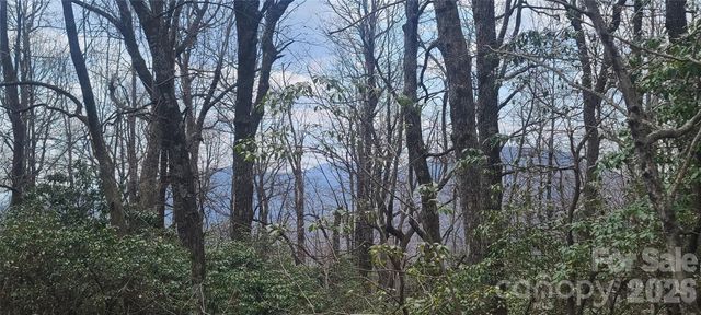 102 High Cliffs Trail, Black Mountain, NC 28711