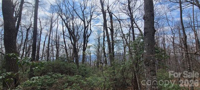 102 High Cliffs Trail, Black Mountain, NC 28711