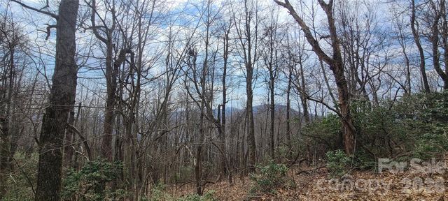102 High Cliffs Trail, Black Mountain, NC 28711