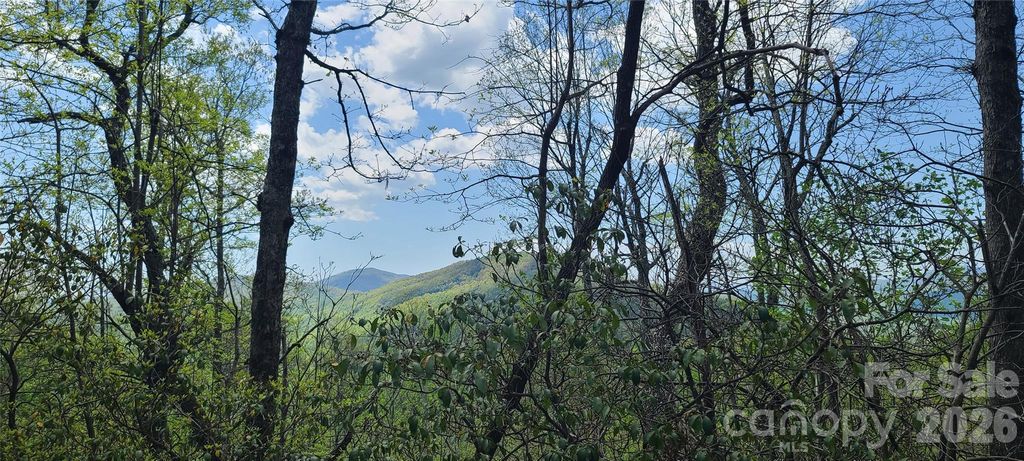 102 High Cliffs Trail, Black Mountain, NC 28711
