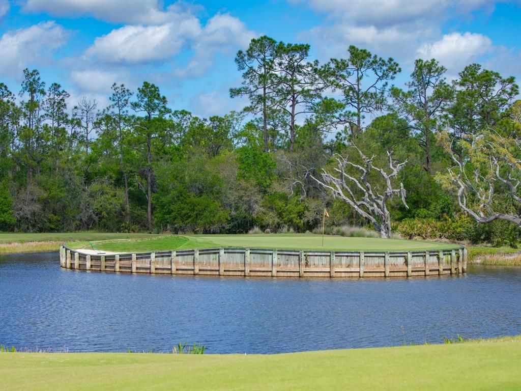 Image 89 of property listing at 8305 FARINGTON COURT, Bradenton, FL 34202