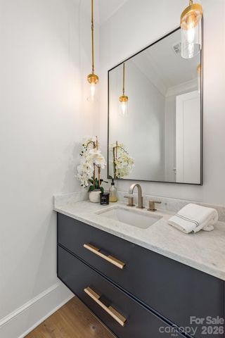 401 Woodland Street, Davidson, NC 28036