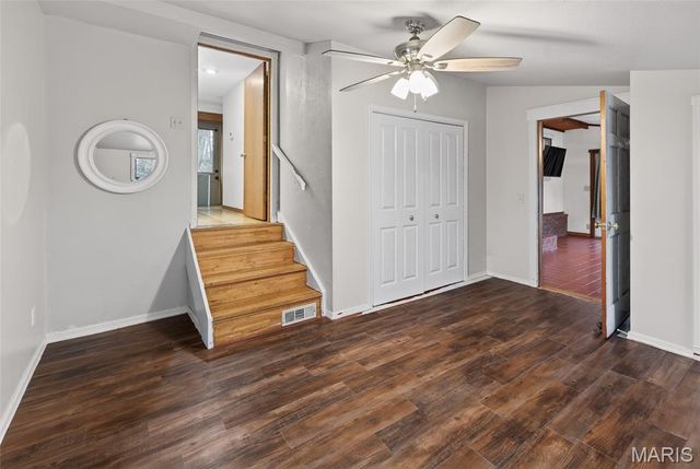 301 Little Dogwood Lake Road, Burfordville, MO 63739