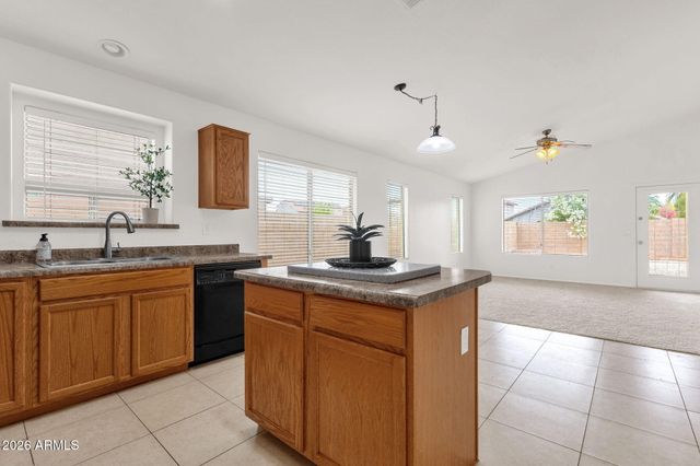 312 W Dana Drive, San Tan Valley, AZ 85143