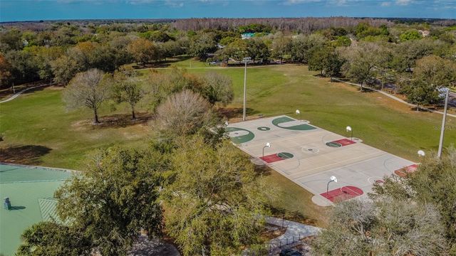 15824 KNOLLVIEW DRIVE, Tampa, FL 33624