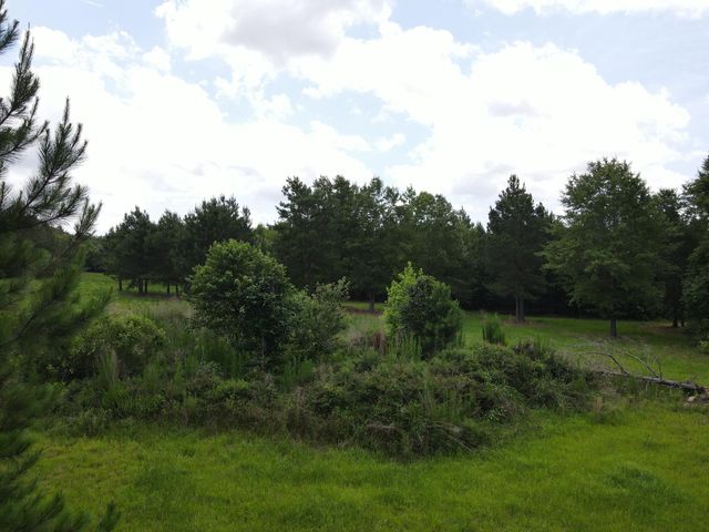 00 Reynolds Road, Barnwell, SC 29812