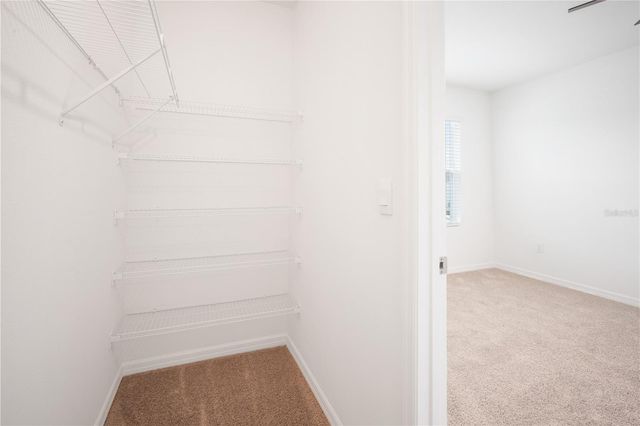 4431 RACHEL FALLS DRIVE, Tampa, FL 33610