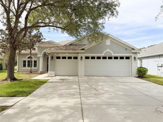 1314 EMERALD HILL WAY, Valrico, FL 33594