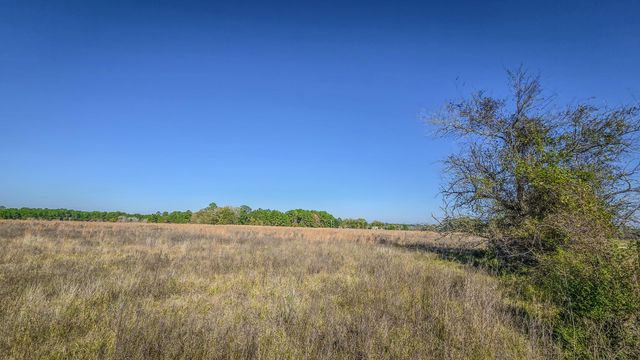 TBD LOT 2 Podraza Road, New Waverly, TX 77358
