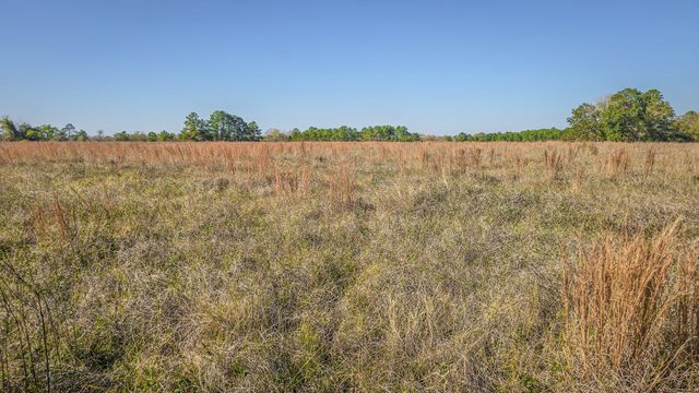 TBD LOT 2 Podraza Road, New Waverly, TX 77358