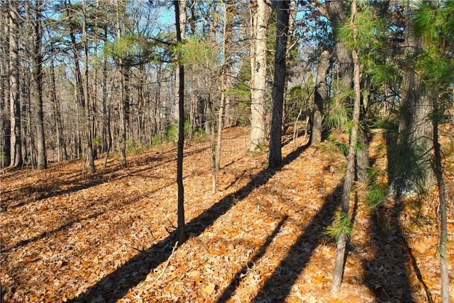 18178 Railroad Cut Road, Rogers, AR 72756