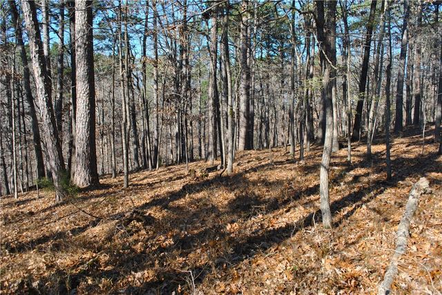 18178 Railroad Cut Road, Rogers, AR 72756
