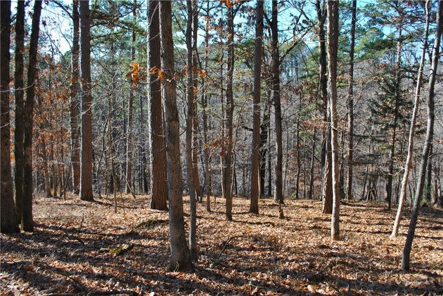 18178 Railroad Cut Road, Rogers, AR 72756