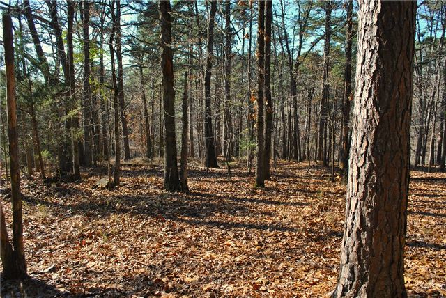 18178 Railroad Cut Road, Rogers, AR 72756