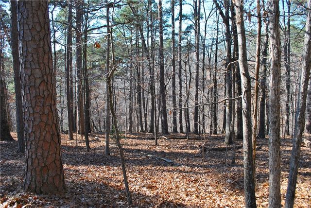 18178 Railroad Cut Road, Rogers, AR 72756