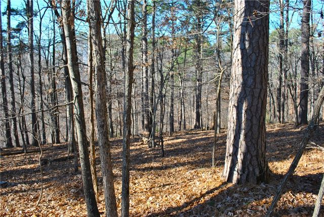 18178 Railroad Cut Road, Rogers, AR 72756