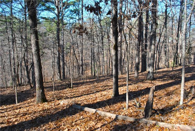 18178 Railroad Cut Road, Rogers, AR 72756