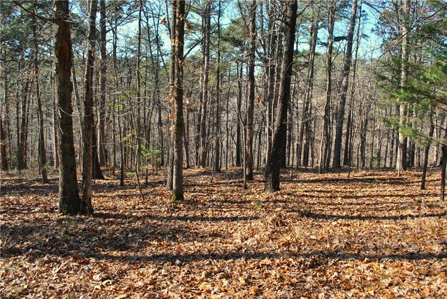 18178 Railroad Cut Road, Rogers, AR 72756
