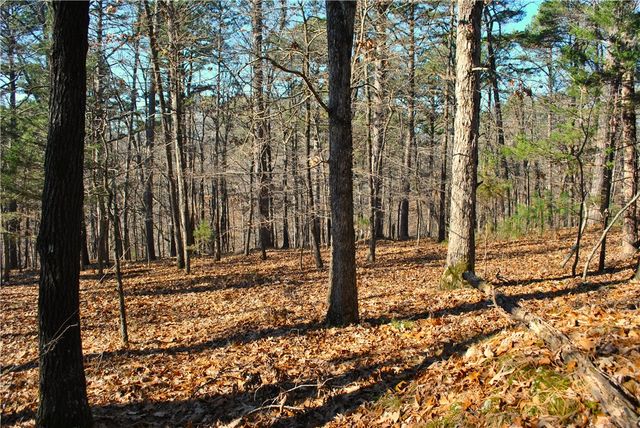 18178 Railroad Cut Road, Rogers, AR 72756