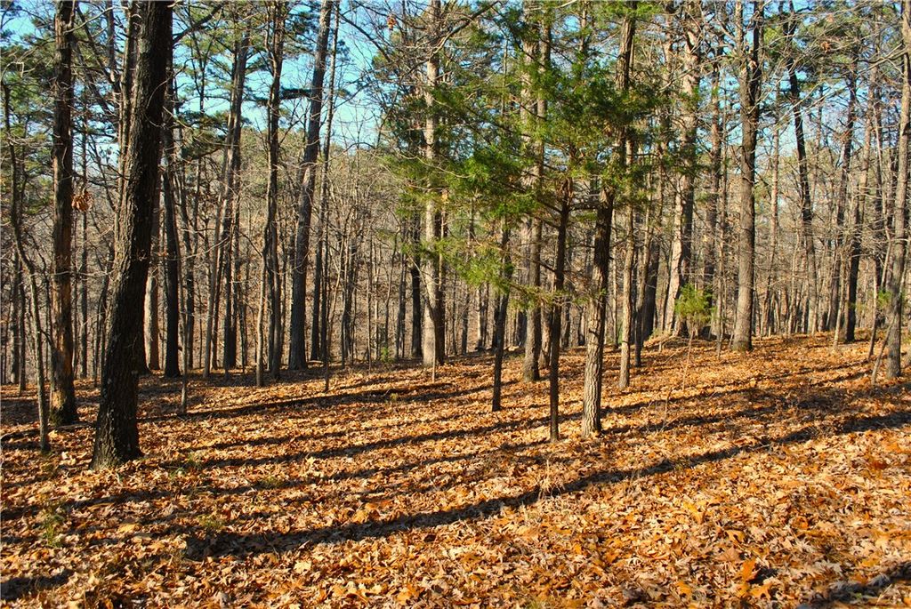 18178 Railroad Cut Road, Rogers, AR 72756