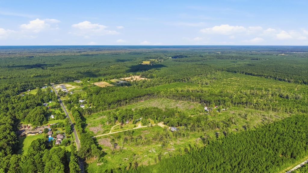 2106 Mineral Springs Rd., Conway, SC 29527 — photo 4
