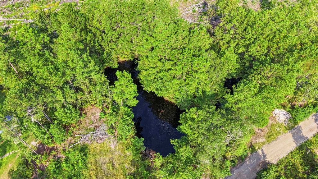 2106 Mineral Springs Rd., Conway, SC 29527 — photo 5