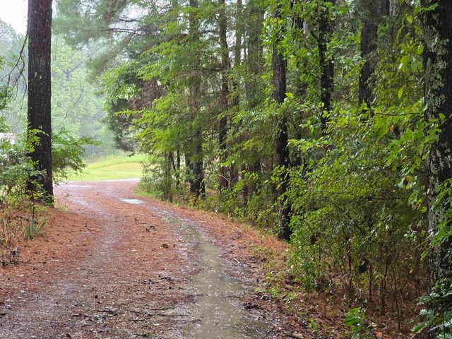 4906 Finch Road, Paragould, AR 72450