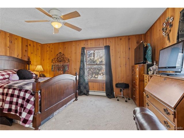 161 E Galena Ave, Crestone, CO 81131