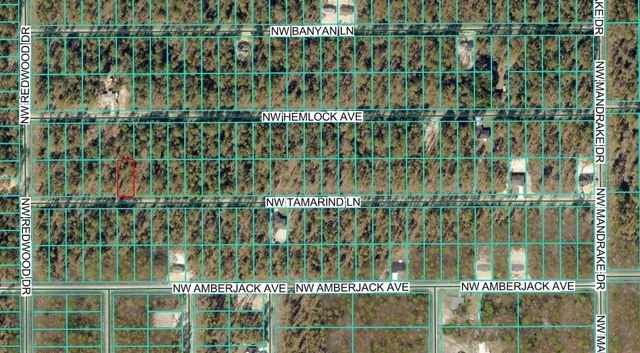 TBD1 NW TAMARIND LANE, Dunnellon, FL 34431