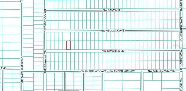 TBD1 NW TAMARIND LANE, Dunnellon, FL 34431